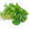 Rau dấp cá tươi, an toàn